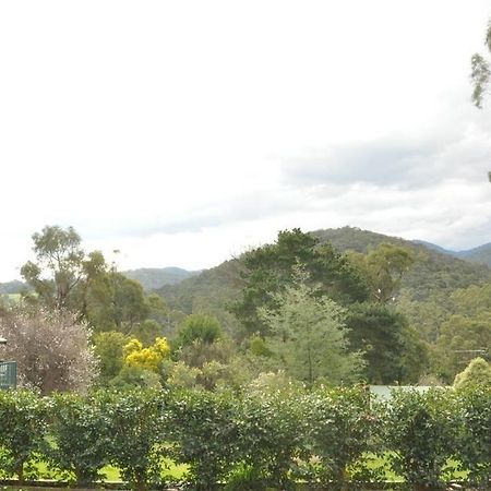Healesville Maroondah View Motel Экстерьер фото