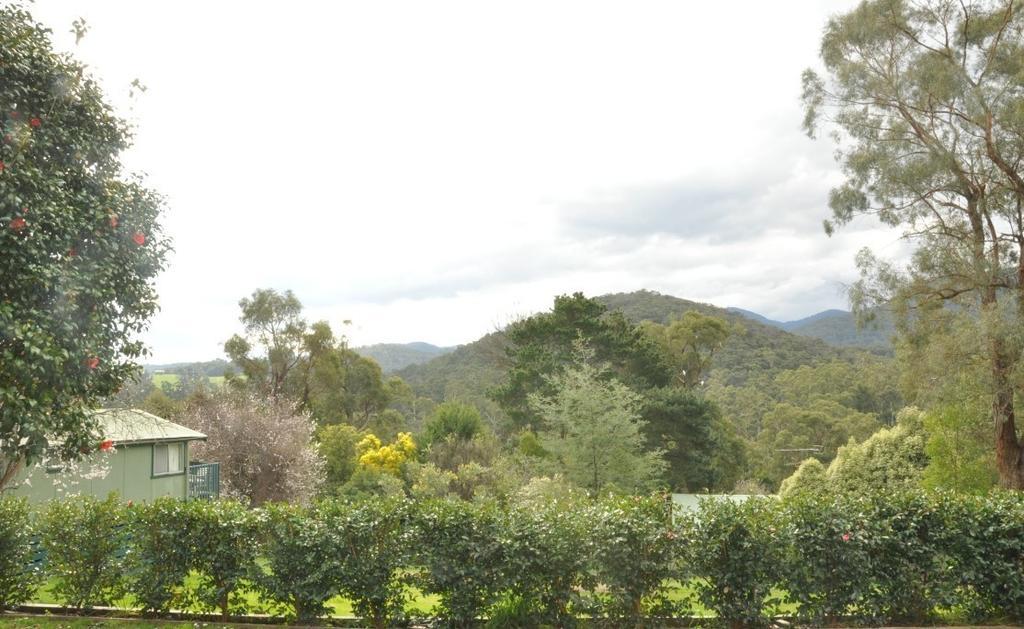 Healesville Maroondah View Motel Экстерьер фото